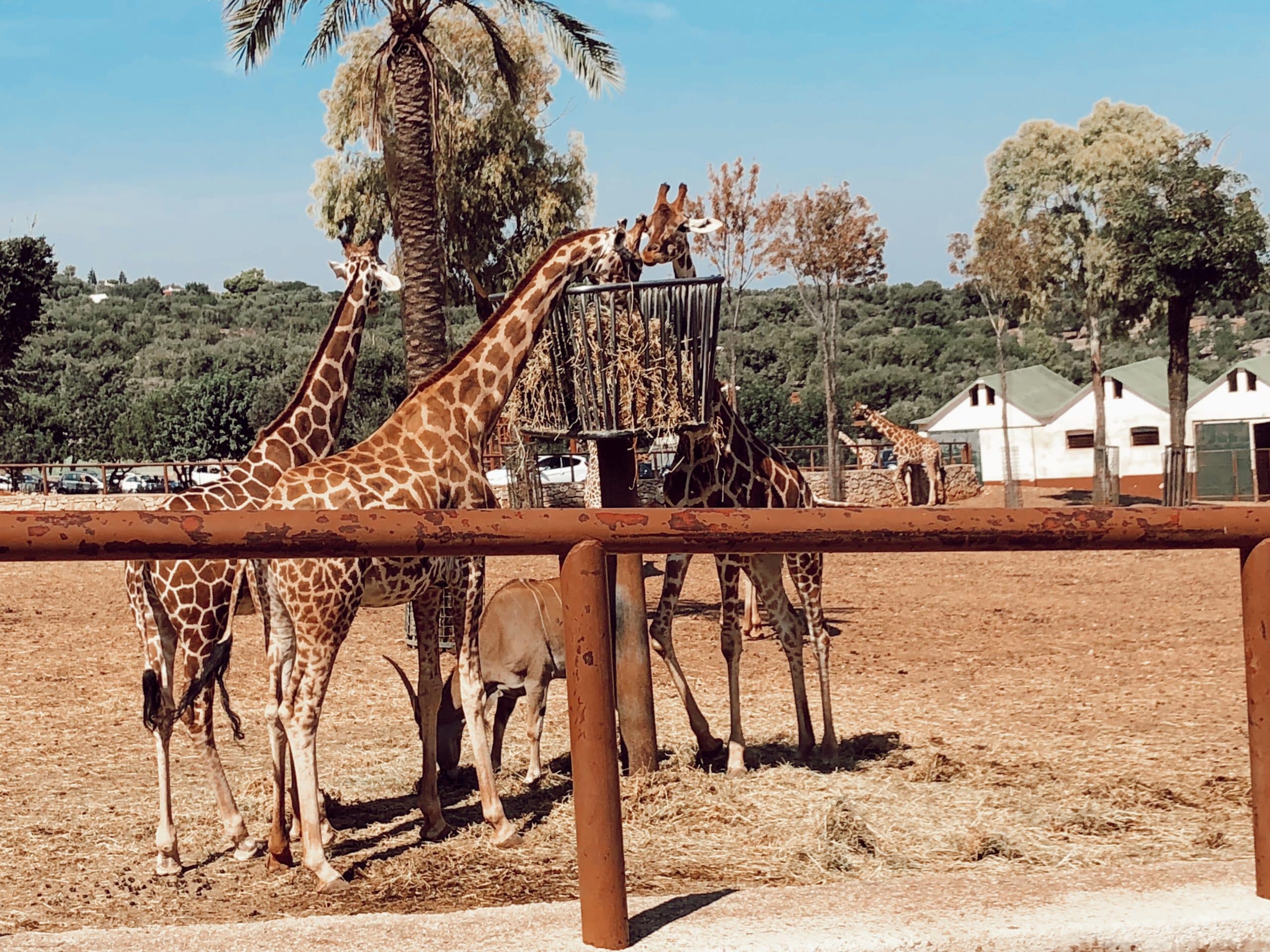зоопарк в Фазано Апулия