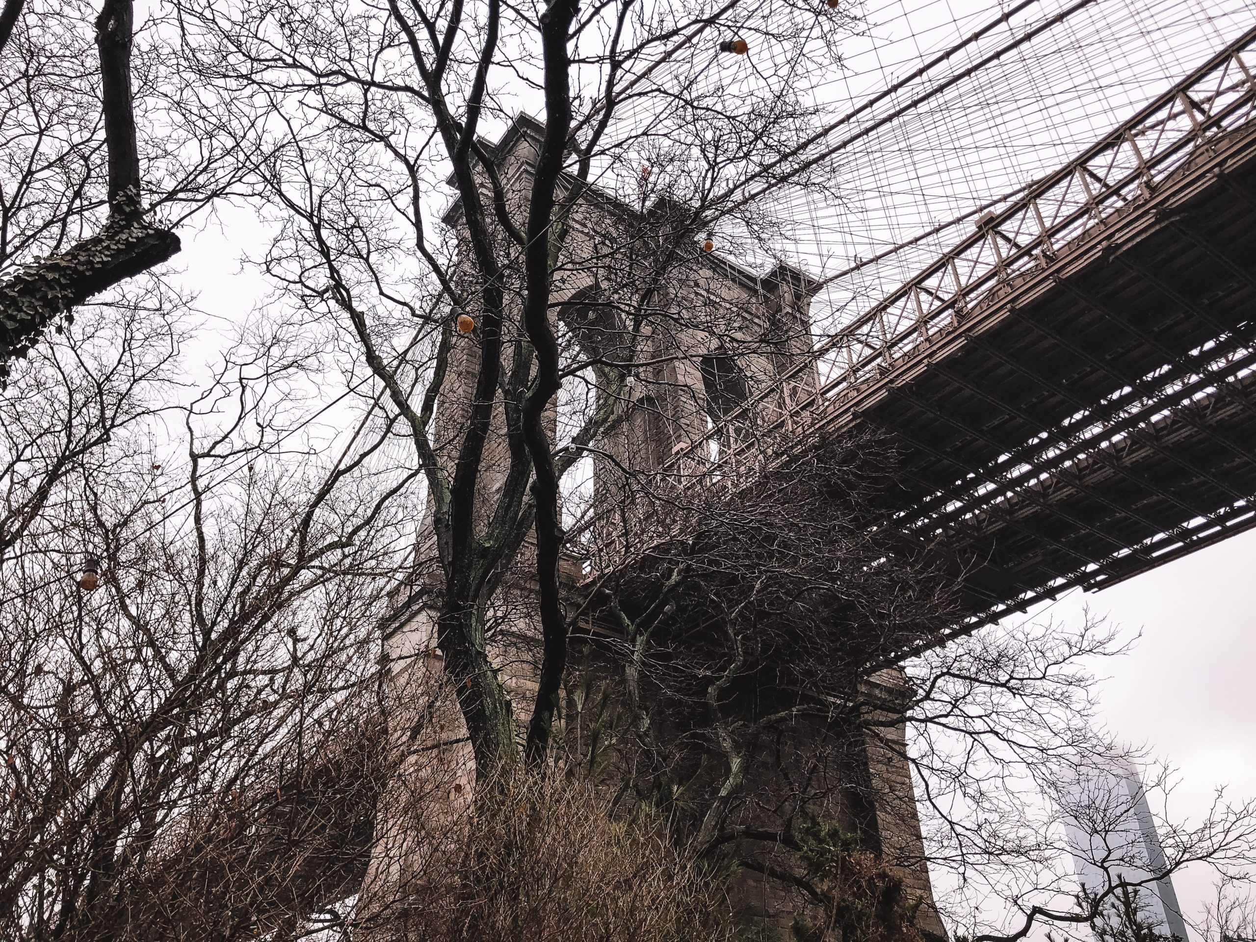 Brooklyn bridges NYC