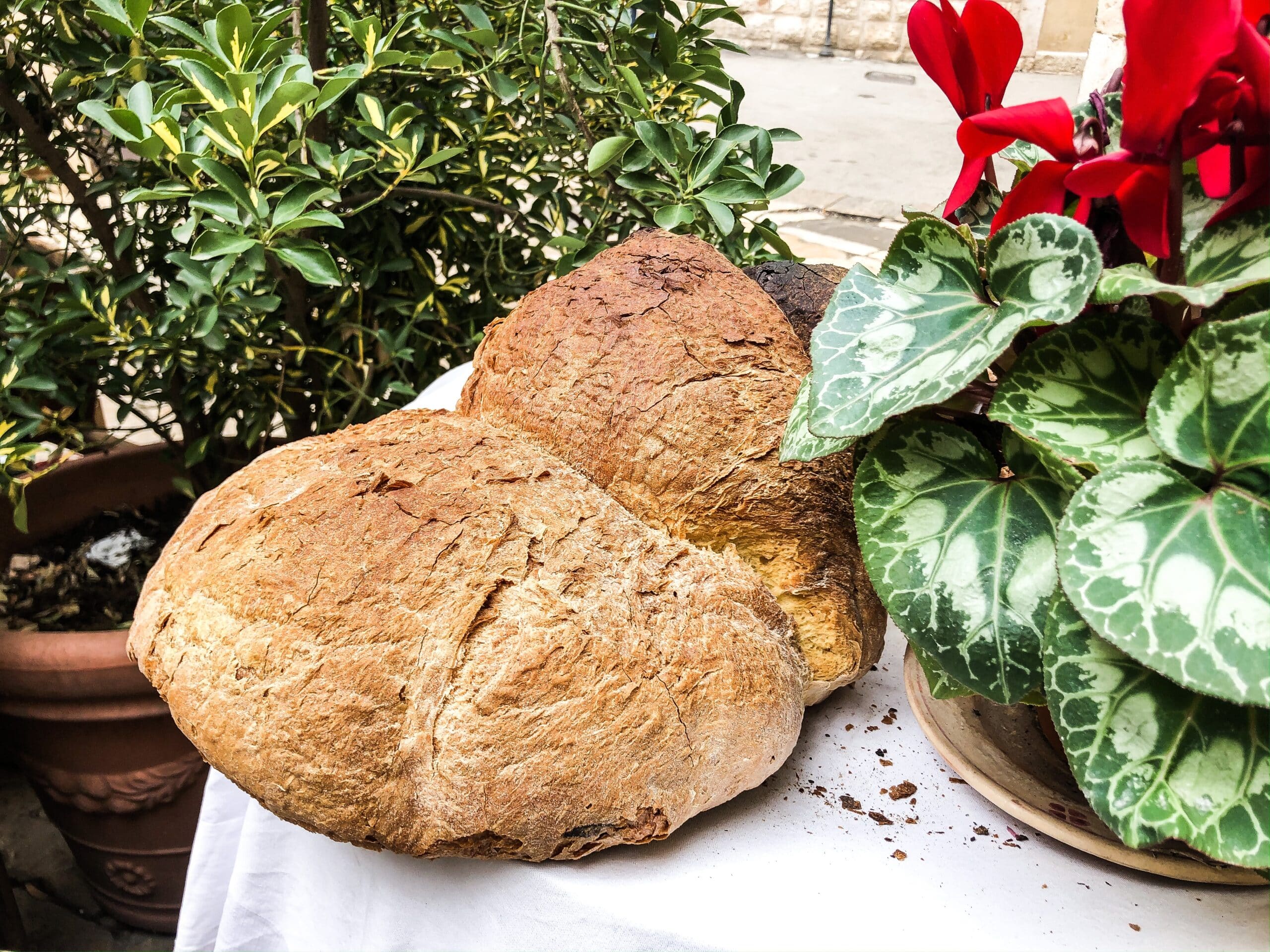 Что смотреть Апулии, кухня Апулии, хлеб Альтамура